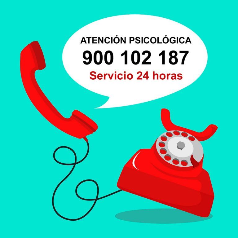 Teléfono de contacto