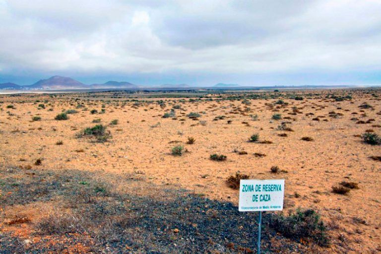 Noticias | Mañana miércoles, 6 de mayo, abre el plazo de inscripción para las pruebas de obtención de la licencia de caza en Lanzarote