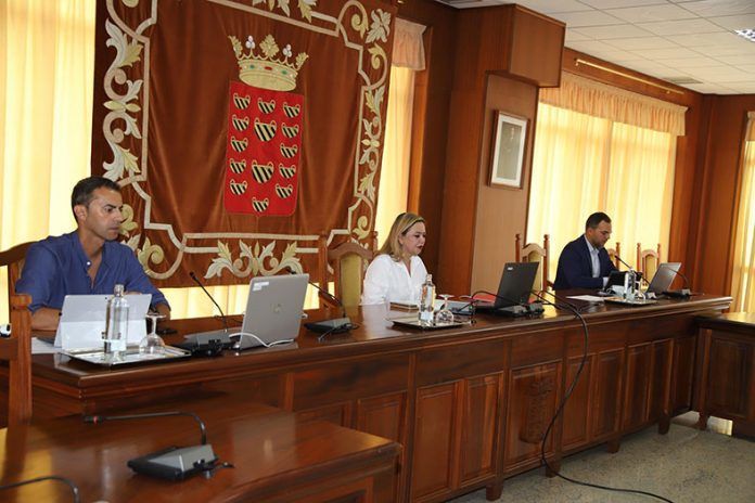 Pleno Extraordinario Cabildo Subvenciones Energía y Artesanía