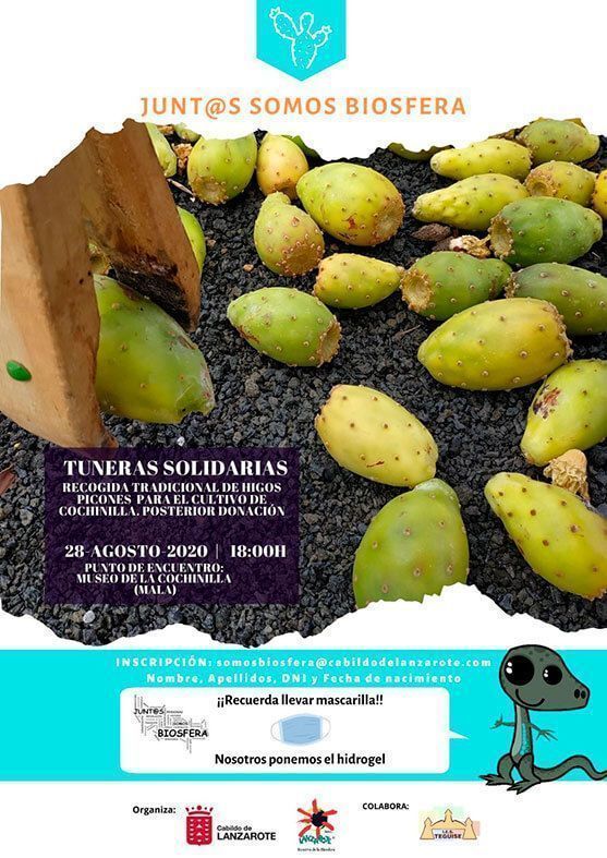 Cartel Tuneras Solidarias