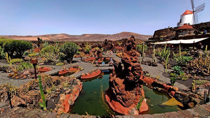 Jardín de Cactus