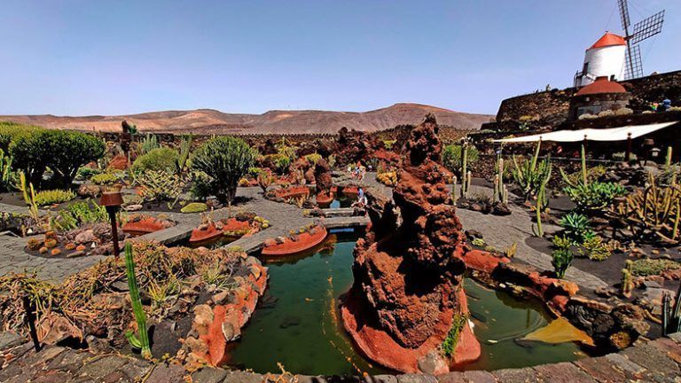 Jardín de Cactus