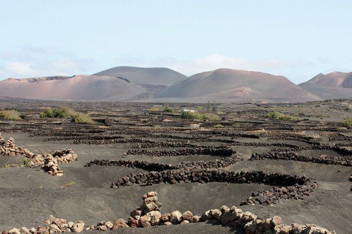 Noticias Lanzarote | plan específico