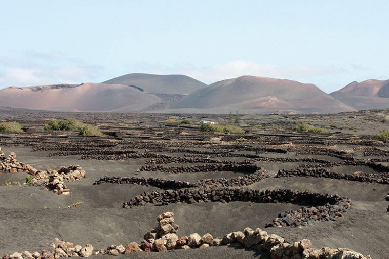 Noticias Lanzarote | plan específico