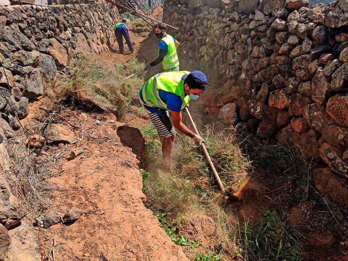 Limpieza del barranco de Teseguite Noticias de Lanzarote | Limpieza del barranco de Teseguite