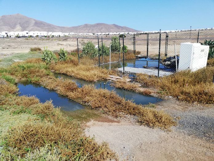 Vertidos de aguas fecales en la urbanización El Partidor, en Playa Blanca.