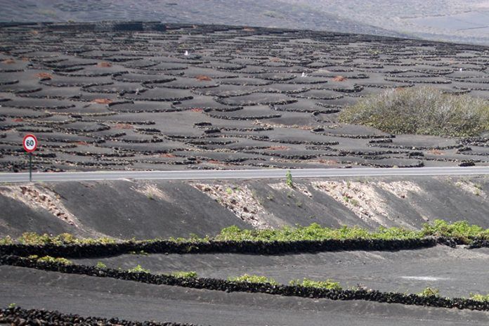 Noticias Lanzarote | Carreta La Geria