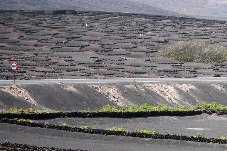 Noticias Lanzarote | Carreta La Geria