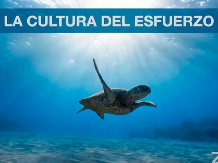 Noticias Lanzarote