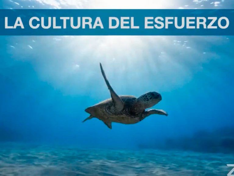 Noticias Lanzarote