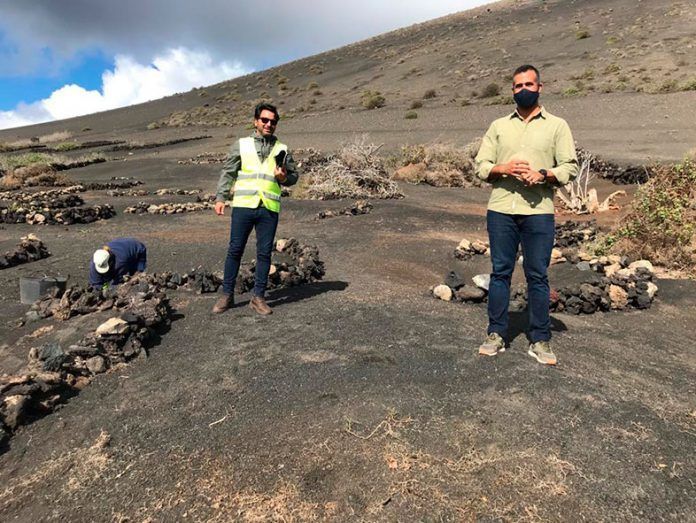 Emilio Machín, responsable de Sector Primario en Yaiza, visita la zona