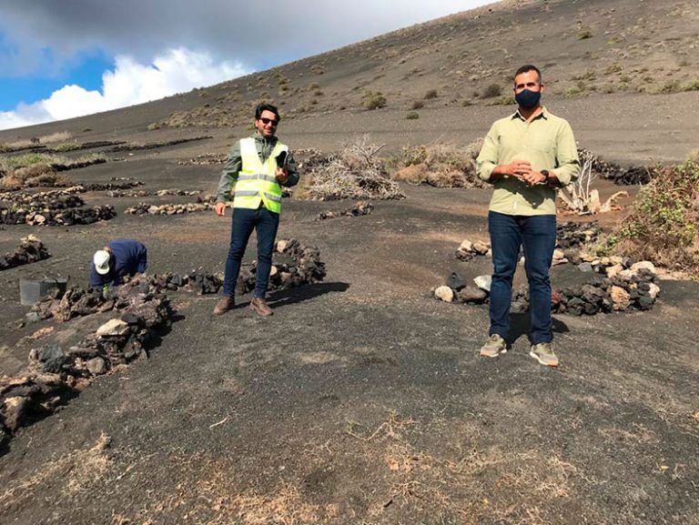 Emilio Machín, responsable de Sector Primario en Yaiza, visita la zona