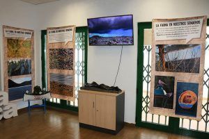 Exposición sobre la fauna lanzaroteña, enmarcada en el XI Encuentro de Senderismo Lanzarote