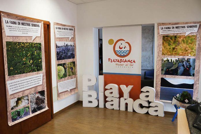 Exposición La Fauna de Lanzarote