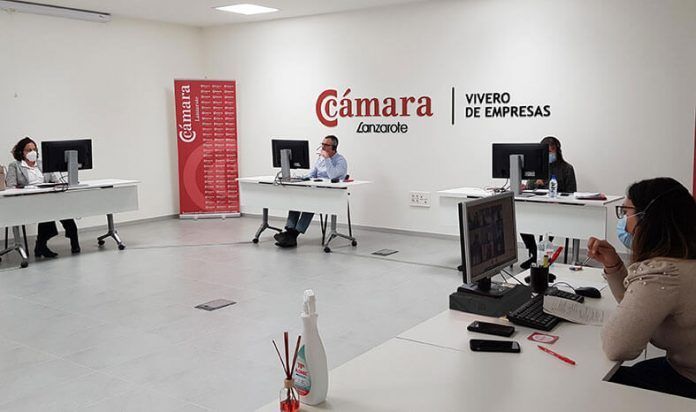 Equipo de tramitación de aydudas Cámara Comercio Noticias Lanzarote | Equipo de tramitación de aydudas Cámara Comercio