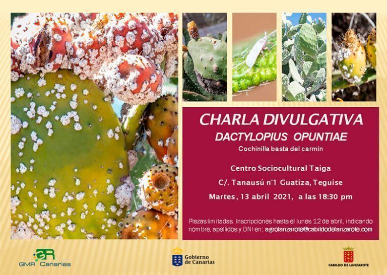 Noticias Lanzarote | Cartel Charla Dactylopiu