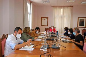 Comisión Insular de Patrimonio Cultural