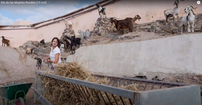 Noticias Yaiza | Día de la Mujer Rural