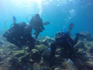 Noticias Playa Blanca | Más de 50 voluntarios participan en la retirada de residuos en Playa Flamingo