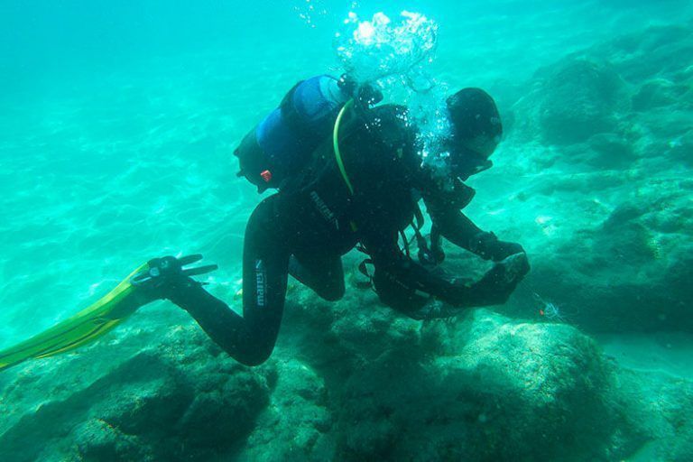 Noticias Playa Blanca | 50 voluntarios participan de la jornada de limpieza en las playas de Papagayo