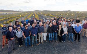 Bodegas El Grifo presenta su primera vendimia de invierno