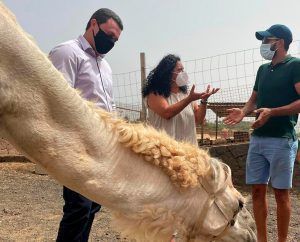 Noticias Yaiza | Óscar Noda evalúa este jueves con el Gobierno la fórmula para revisar las tarifas de los paseos a camello en Timanfaya