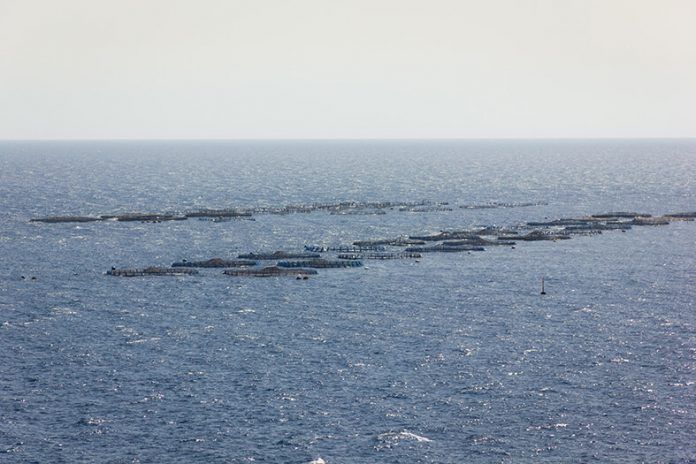 Noticias Yaiza | Playa Quemada repite con Bandera Negra este 2022
