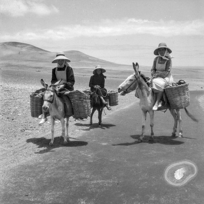 Noticias Lanzarote | Memoria Digital de Lanzarote amplía su fondo de imágenes antiguas de la isla