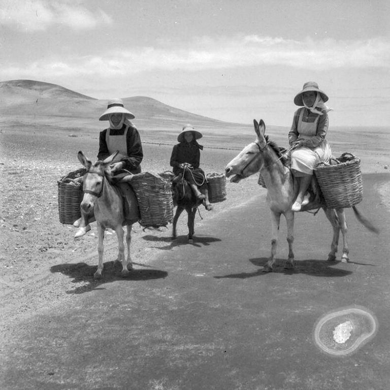 Noticias Lanzarote | Memoria Digital de Lanzarote amplía su fondo de imágenes antiguas de la isla