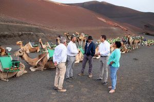 Noticias Yaiza | Este jueves entran en vigor las nuevas tarifas de los paseos a camello en Timanfaya