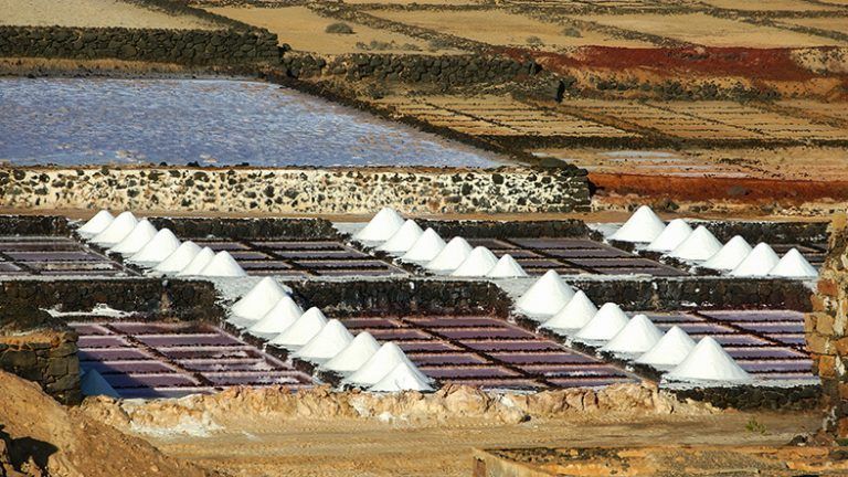 Noticias Yaiza | UPY logra el apoyo unánime del pleno de Yaiza para defender a las salinas artesanales como actividad agroalimentaria