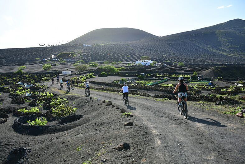 Noticias Lanzarote | Malvasía, la semana del vino de Lanzarote, cierra su octava edición con gran éxito