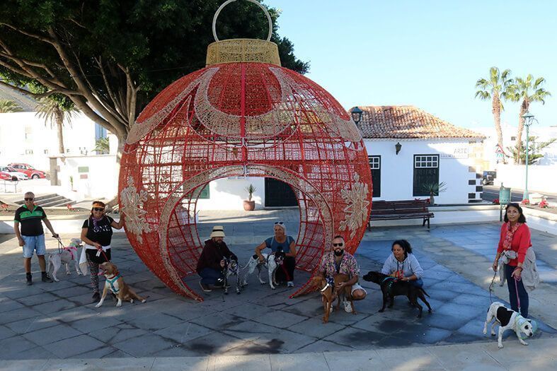 Jornadas Puertas Abiertas Área de Protección Animal de Yaiza
