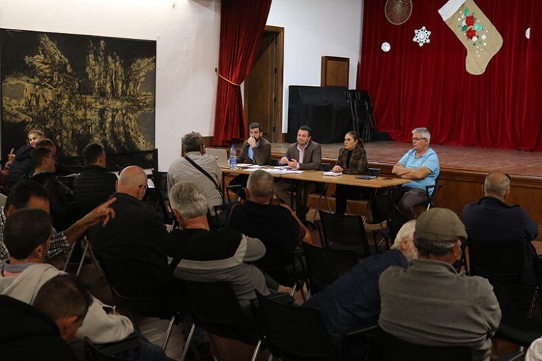 Noticias Yaiza | Yaiza anuncia la ampliación de la flota de taxis con diez nuevas licencias