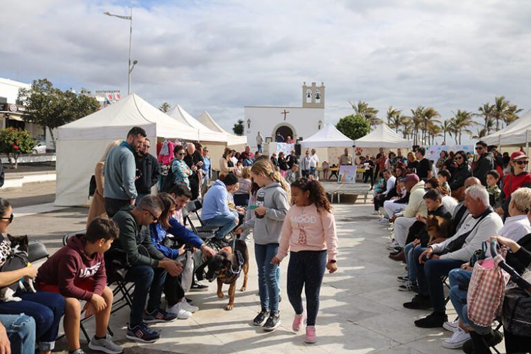Noticias Playa Blanca | Yaiza, un municipio comprometido con el cuidado de sus mascotas