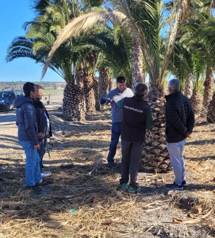 Noticias Yaiza | Yaiza forma a sus trabajadores en gestión de palmeras y sanidad vegetal