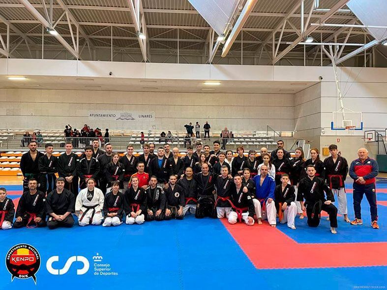 Copa de España de Semikenpo