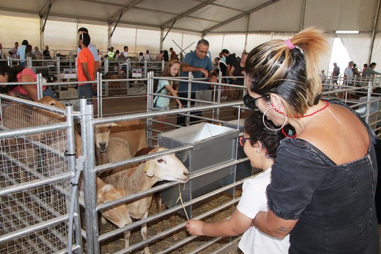 Noticias Yaiza | Uga enseña el esfuerzo y rendimiento del sector primario de Lanzarote