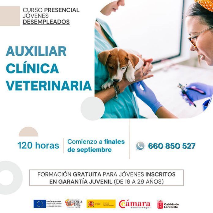 Noticias Lanzarote | La Cámara de Lanzarote organiza un curso de auxiliar de clínica de veterinaria para jóvenes