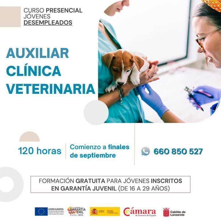 Noticias Lanzarote | La Cámara de Lanzarote organiza un curso de auxiliar de clínica de veterinaria para jóvenes
