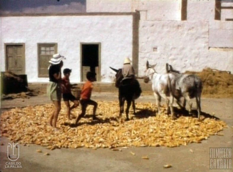 Memoria Digital de Lanzarote completará la digitalización y difusión de parte del fondo fotográfico de la isla