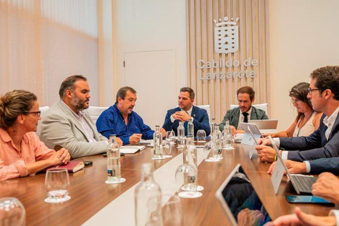 Noticias Lanzarote | Cabildo y Transición Ecológica trabajarán juntos para la recuperación del palmeral de Lanzarote