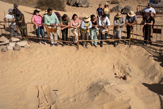 Noticias Playa Blanca | El hallazgo de una decena de enterramientos en San Marcial de Rubicón confirma la existencia de un nuevo cementerio