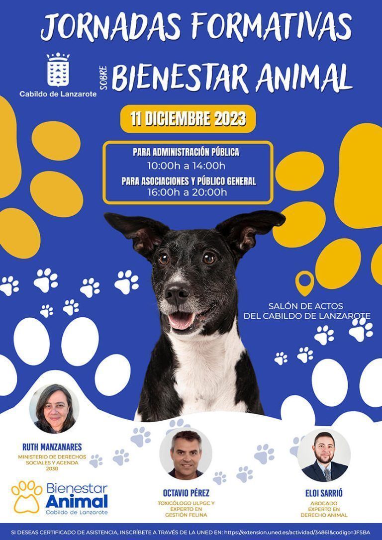 Noticias Lanzarote | El Cabildo de Lanzarote organiza las primeras jornadas sobre Bienestar Animal