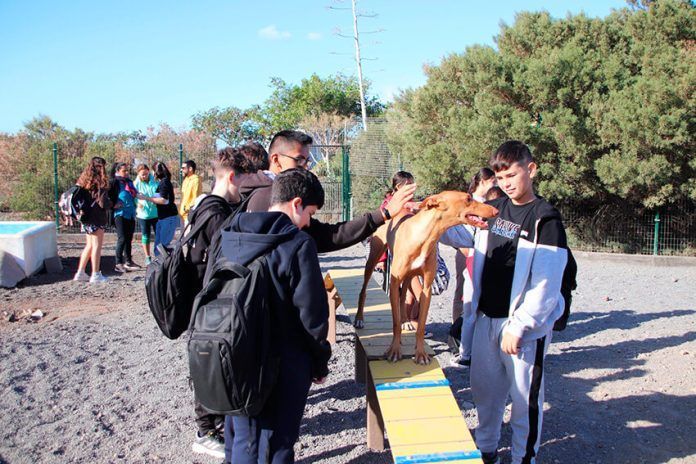 Visita escolar al Centro de Acogida de Animales de Yaiza Noticias Yaiza | Alumnos del CEO Playa Blanca visitan el Centro de Acogida de Animales de Yaiza