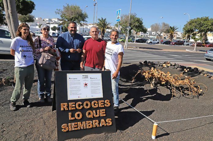 Escultura de colillas 'Recoges lo que siembras' Noticias Lanzarote | El Cabildo de Lanzarote instala la escultura de denuncia del vertido de colillas en el espacio público