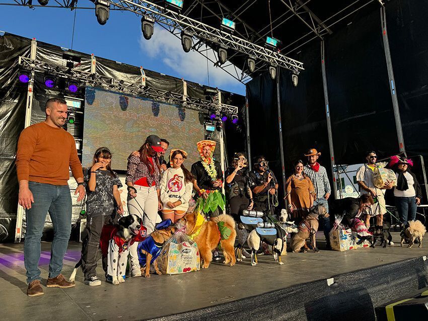 Noticias Yaiza | La gracia de Noa triunfa en el Carnaval Canino de Playa Blanca