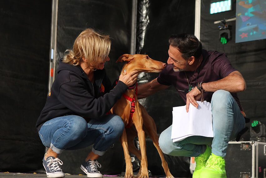 Carnaval Canino de Playa Blanca 2024