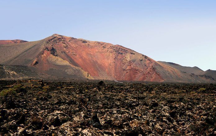 Noticias Yaiza | Transición destina 1´9 millones de euros para el control de especies exóticas en el Parque Nacional de Timanfaya