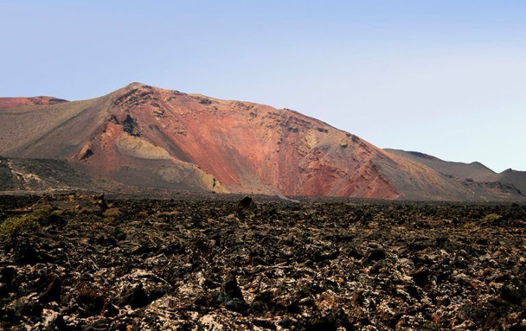 Noticias Yaiza | Transición destina 1´9 millones de euros para el control de especies exóticas en el Parque Nacional de Timanfaya